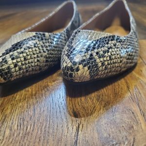 Faux snake skin Lane Bryant flat shoe